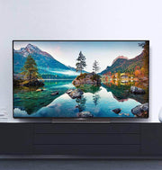 Metz TV METZ 55MOC9001Z 55 OLED